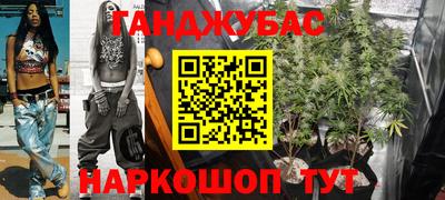 mdpv Владикавказ
