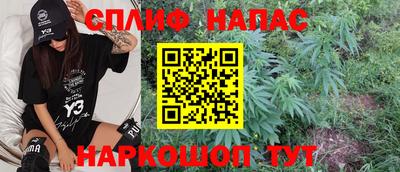 mdpv Владикавказ